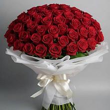 Букет 101 Красная роза Блэк Мэджик в Немане