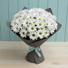 Букет цветов из:  Хризантемы #REPLACE_PRED# Немане