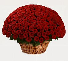 Премиум букет из: Розы в Немане